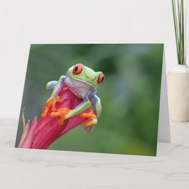 Cartão Sapo de Texto Personalizado (Frente)