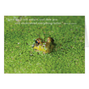 Cartão Sapo em algas verdes