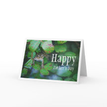 Sapo em Leafy Pond Portrait