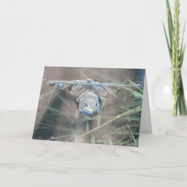 Cartão Sapo/Reze (Frente)