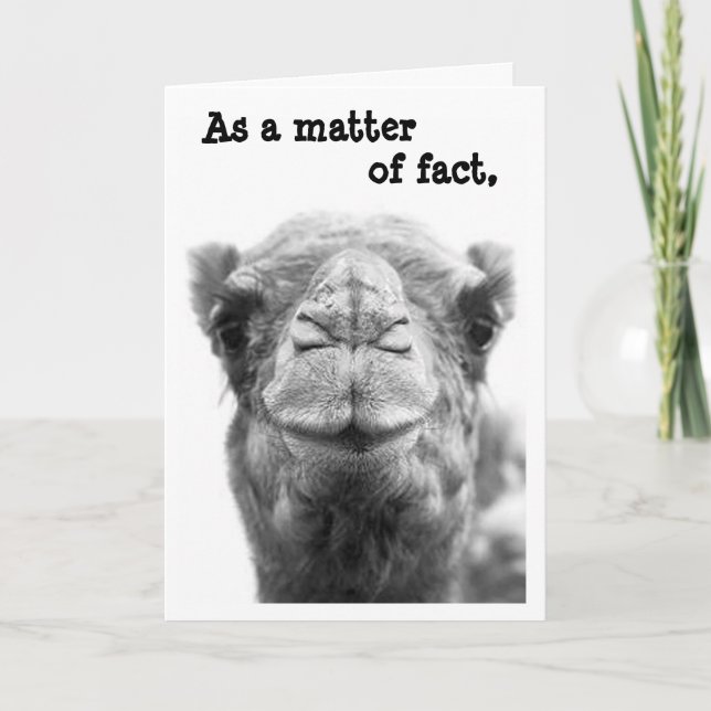 Cartão Sarcastic & Funny Camel Photo Graduation Card (Frente)