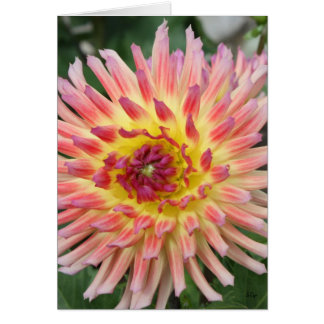 Cartão Sassy, espero o seu dia
