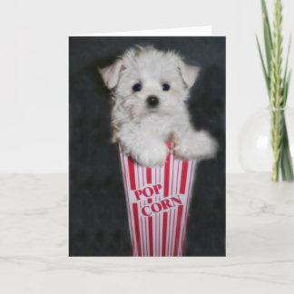 Cartão Saudação à Noite do Filme