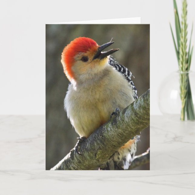 Cartão Saudação animada (Frente)