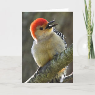 Cartão Saudação animada