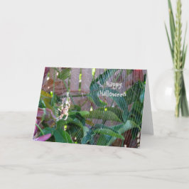 Cartão - Saudação - Aranha na Web