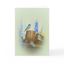 Saudação da Família Bluebird