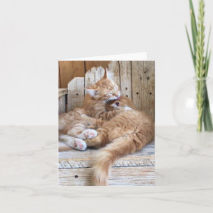 Cartão Saudação de Amor de Gatinhos