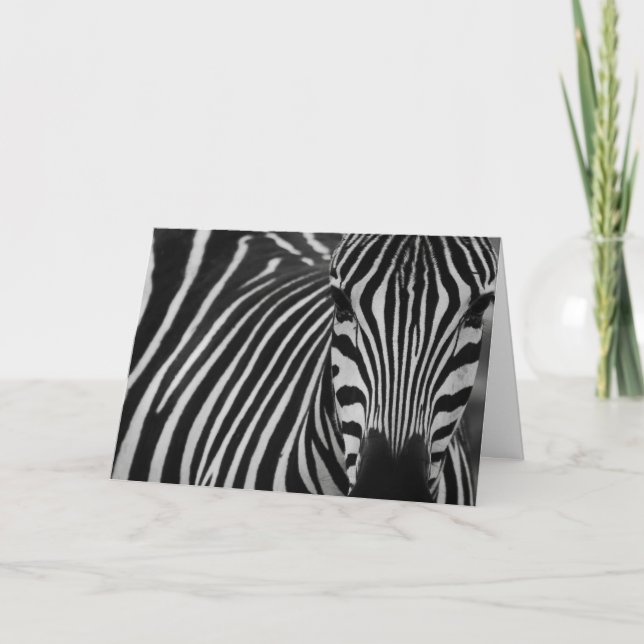 Cartão Saudação de aniversário de zebra engraçada (Frente)