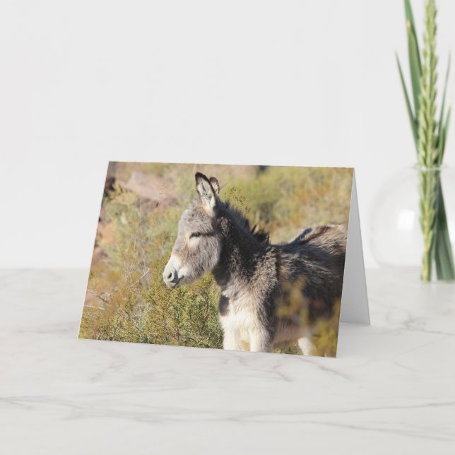 Cartão Saudação de Burro Selvagem (Frente)
