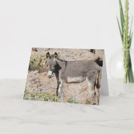 Cartão Saudação de Burro Selvagem