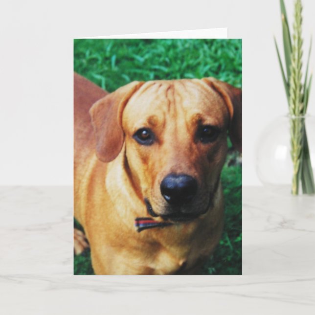 Cartão Saudação de Foto Personalizada (Frente)