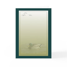 Saudação de Mallard Drake Duck