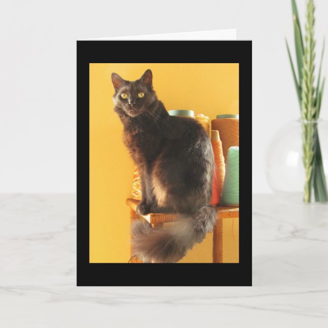 Cartão - Saudação - Gato com Fios (Frente)