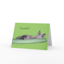 Cartão - Saudação - Gato de Cinza