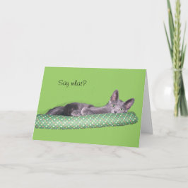 Cartão - Saudação - Gato de Cinza