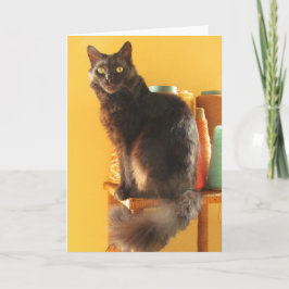 Cartão - saudação - Gatos com fios