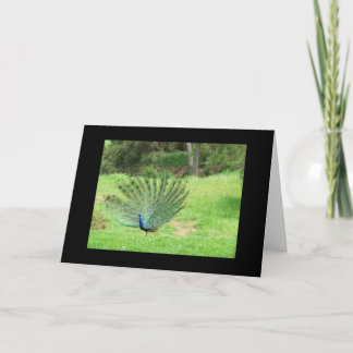 Cartão - Saudação - Peacock 2 lados