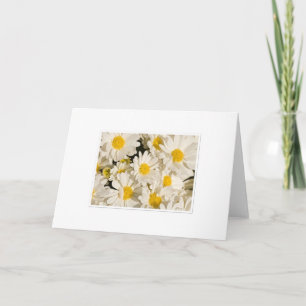 Cartão Saudações bonito Daisy
