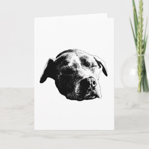 Cartão Saudações Calorosas, Nota Suave