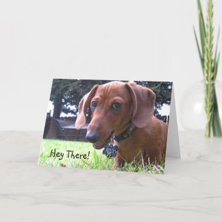 Cartão Saudações Dachshund