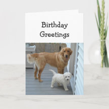 Saudações de Aniversário do Grupo Humor de Cachorr