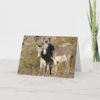 Cartão Saudações de Burros Selvagens