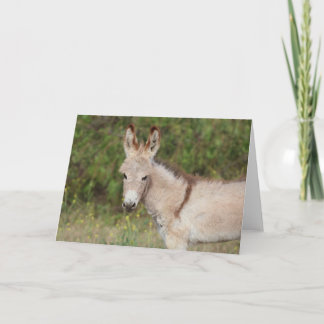 Cartão Saudações de Burros Selvagens
