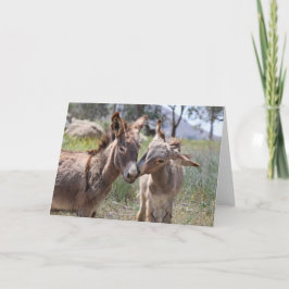 Cartão Saudações de Burros Selvagens