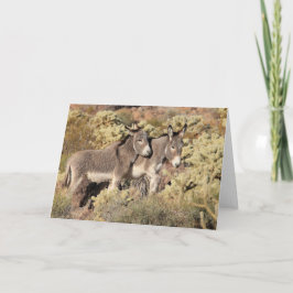 Cartão Saudações de Burros Selvagens