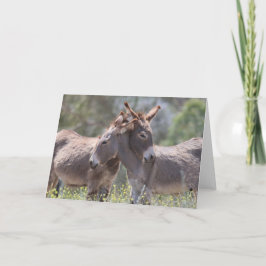 Cartão Saudações de Burros Selvagens