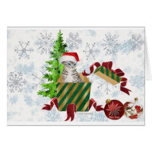 Saudações de Natal Cat