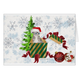 Cartão Saudações de Natal Cat
