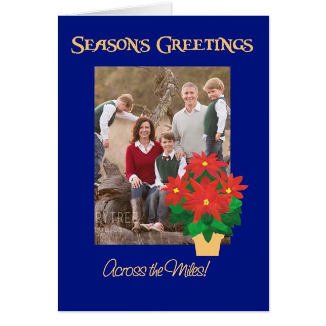 Cartão Saudações de Poinsettia Season por todo o Miles (Frente)