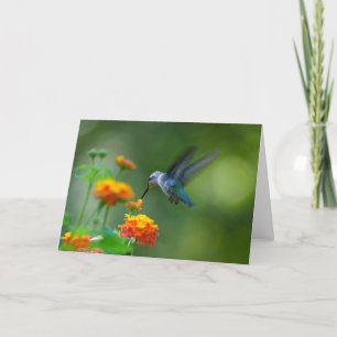 Cartão Saudações! De Um Hummer De Verão!