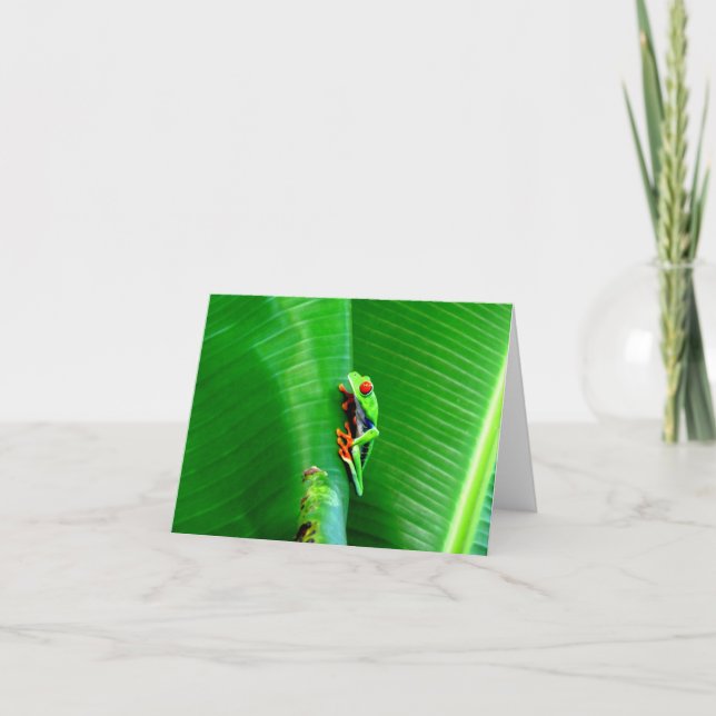 Cartão Saudações de um sapo de olhos vermelhos (Frente)