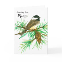 Saudações do Galho Maine Black Capped