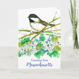 Cartão Saudações do Massachusetts Chickadee Bird