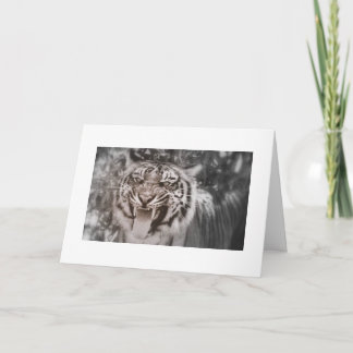 Cartão Saudações do Orgulho