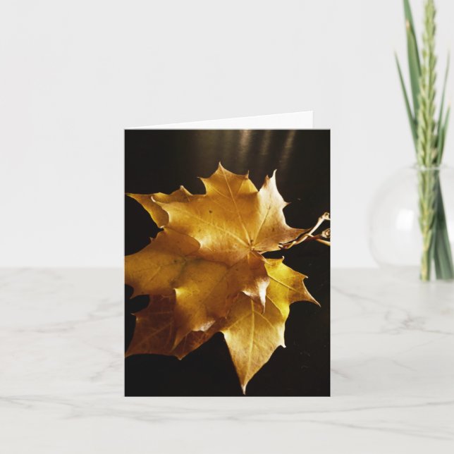 Cartão Saudações do outono (Frente)