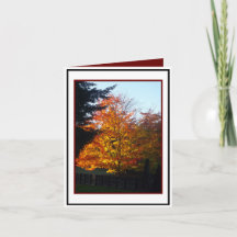 Saudações do outono