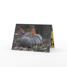 Saudações do outono | Pumpkin Engraçado