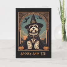 Saudações Feliz Halloween Shih Tzu