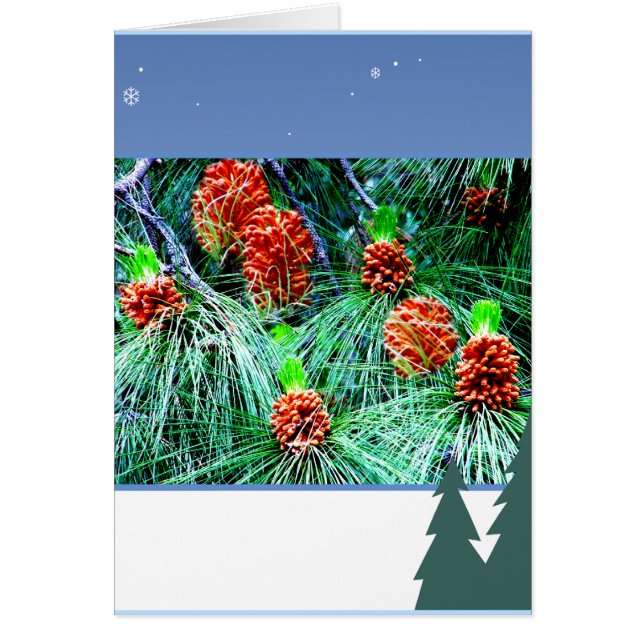 Cartão Saudações por terra_ (Frente)