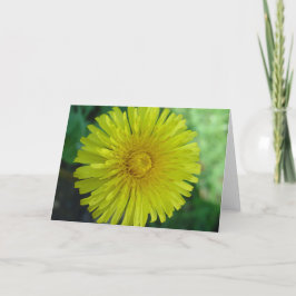 Cartão Saudável - Dandelion