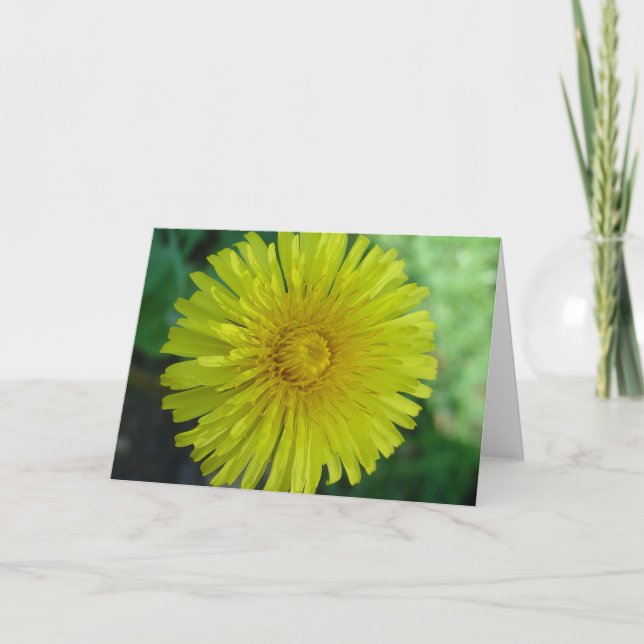 Cartão Saudável - Dandelion (Frente)