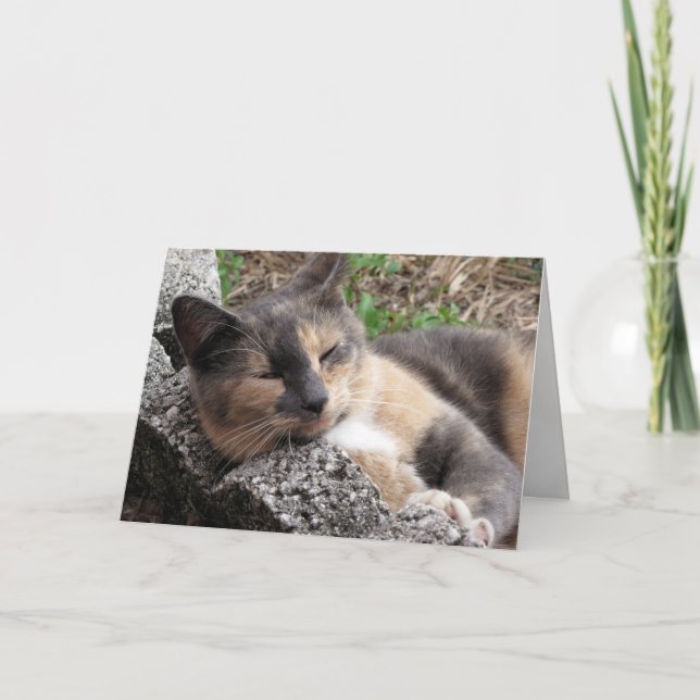 Cartão Saudável de Callie Muffin (Frente)