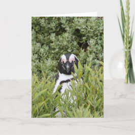 Cartão Saudável - Pinguim Africano