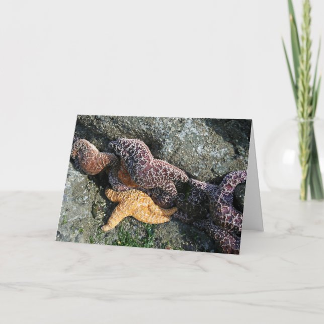 Cartão Saudável: Starfish (Frente)
