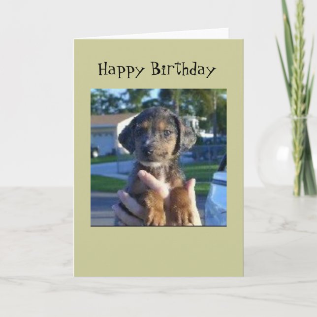 Cartão Savannah (Frente)